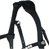 Kavalkade Zaum Caliano Via Schwarz/Silber