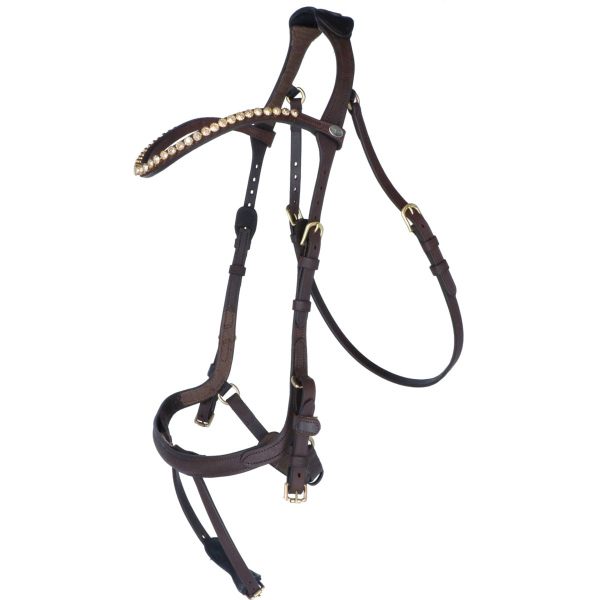 Kavalkade Zaum Caliano Via Braun/Messing