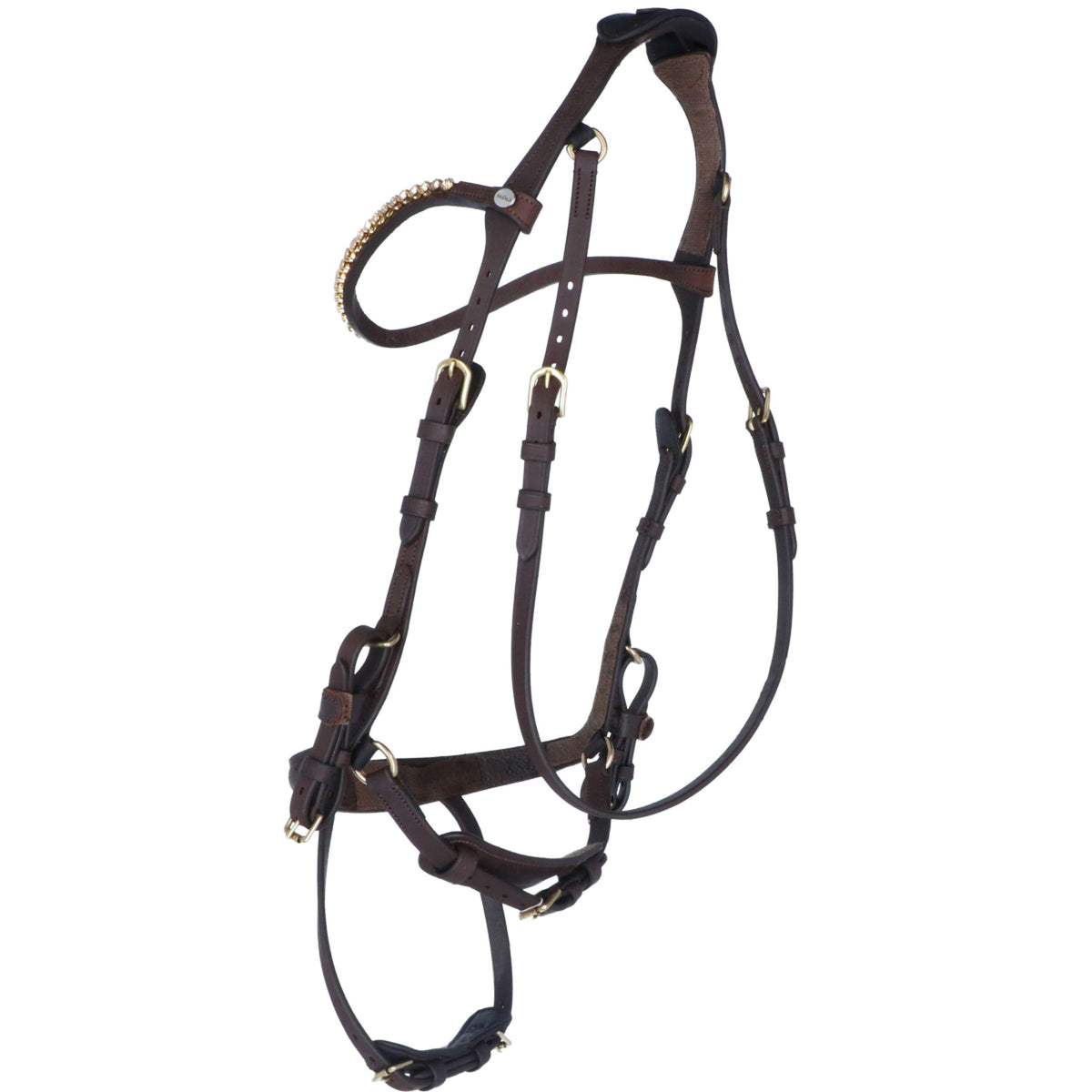 Kavalkade Zaum Caliano Via Braun/Messing