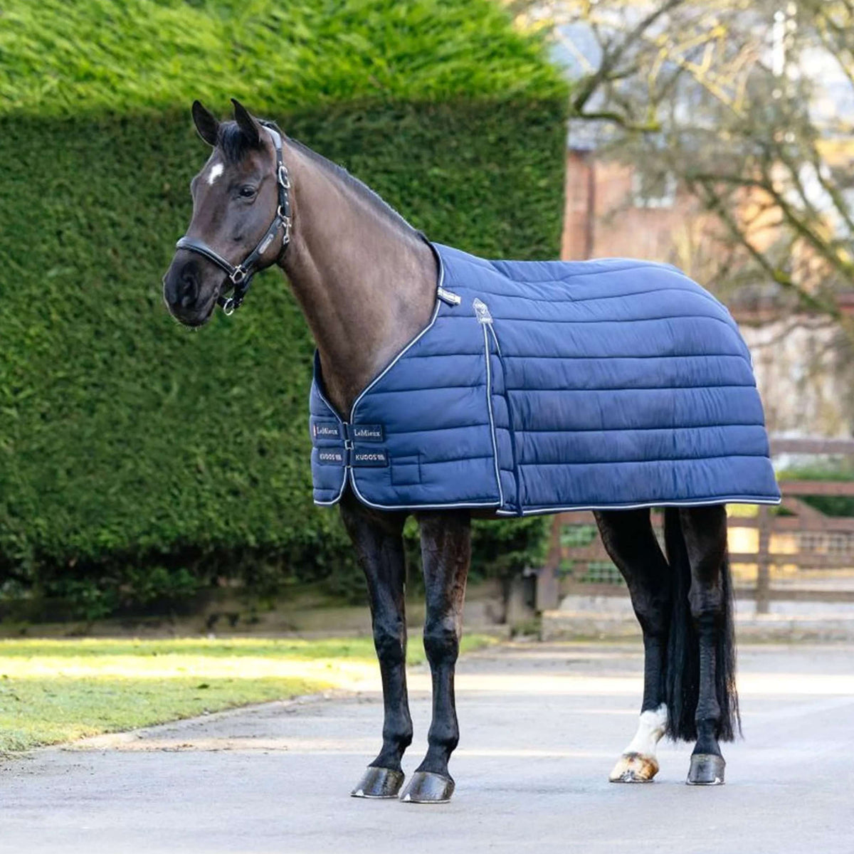 LeMieux Liner Kudos 350g Navy