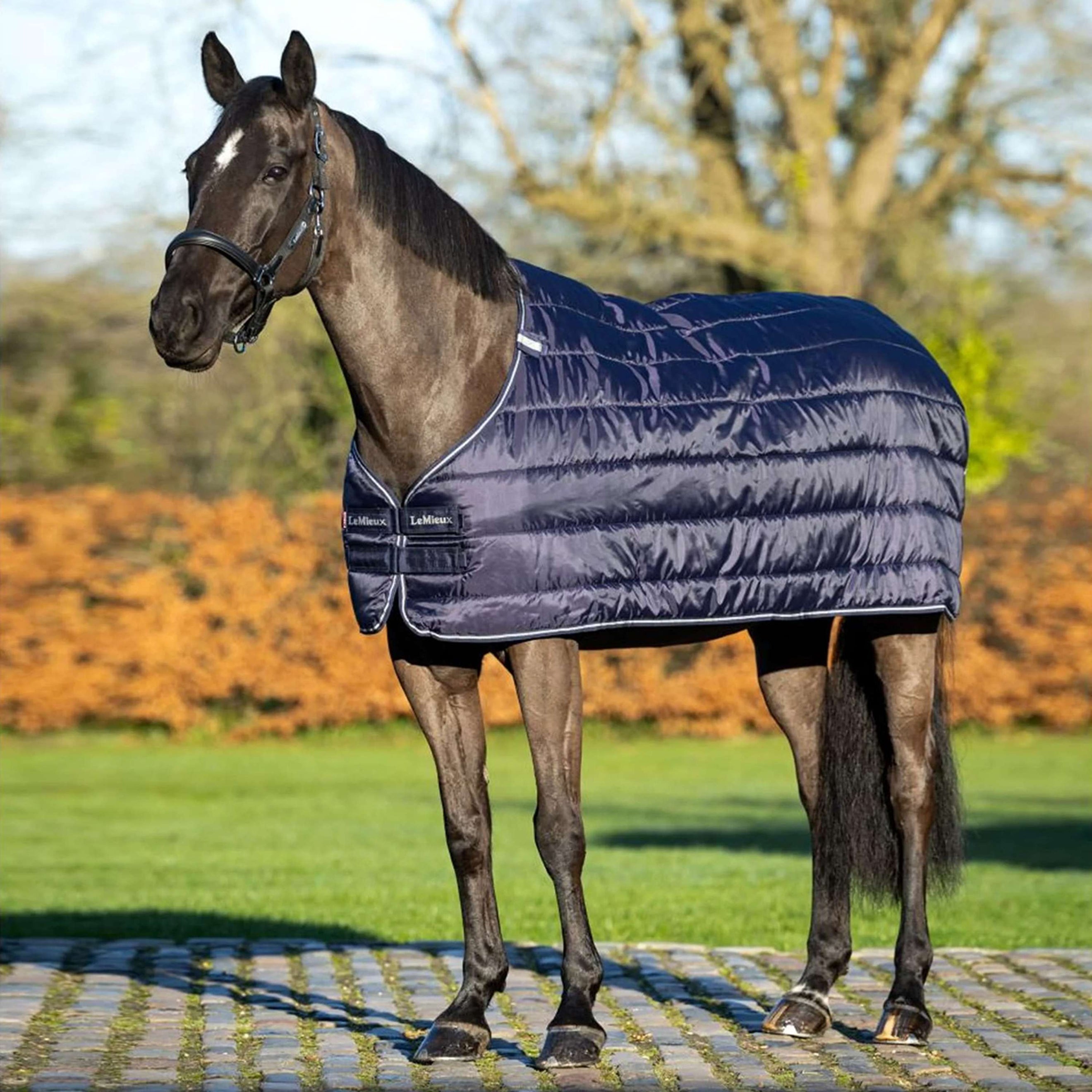 LeMieux Liner 50g Navy LeMieux Liner 50g Navy