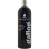 Carr & Day & Martin Shampoo Gallop Colour Schwarz