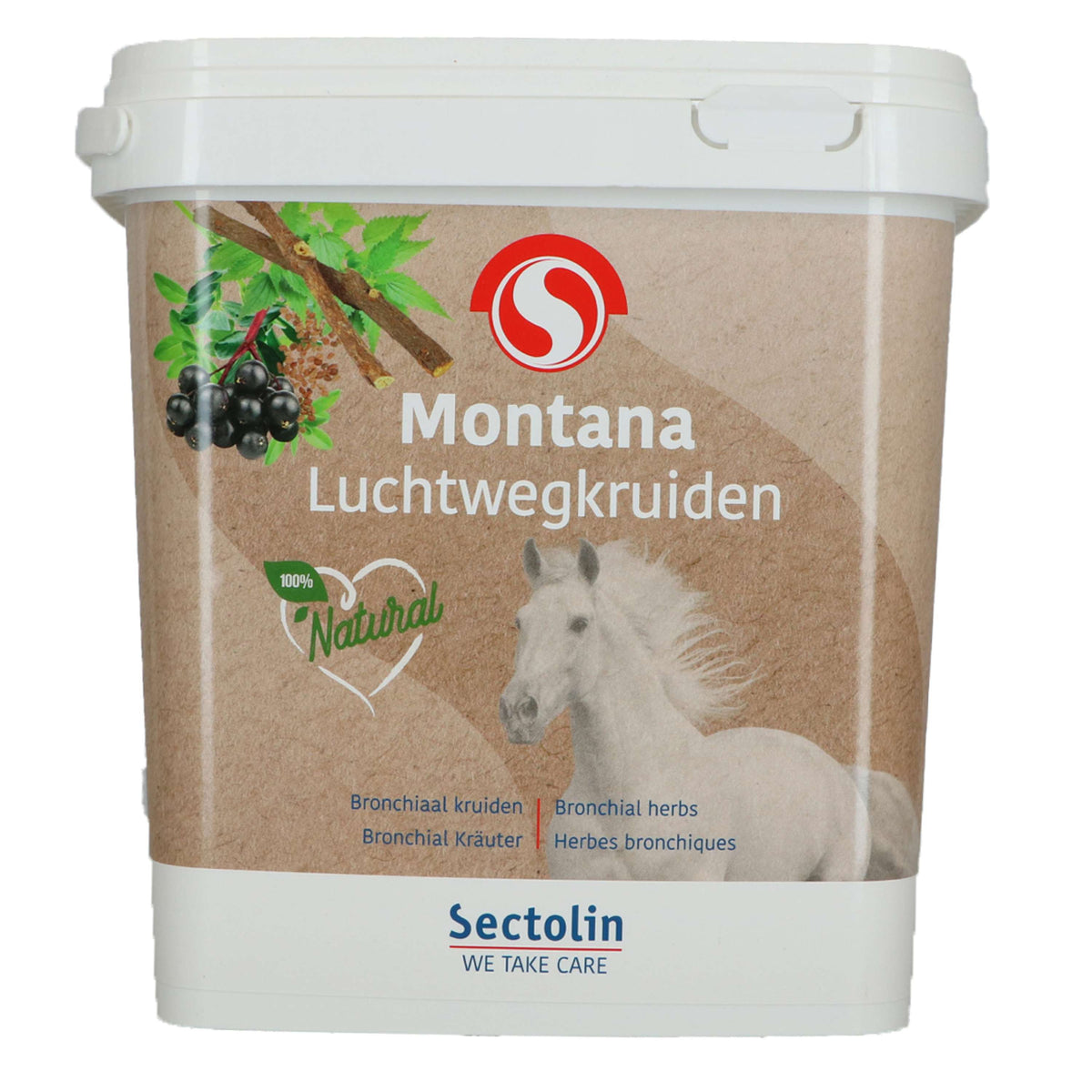 Sectolin Montana Bronchiale Kräuter