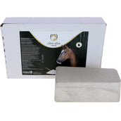 Excellent Salt Lick Horse Leckstein