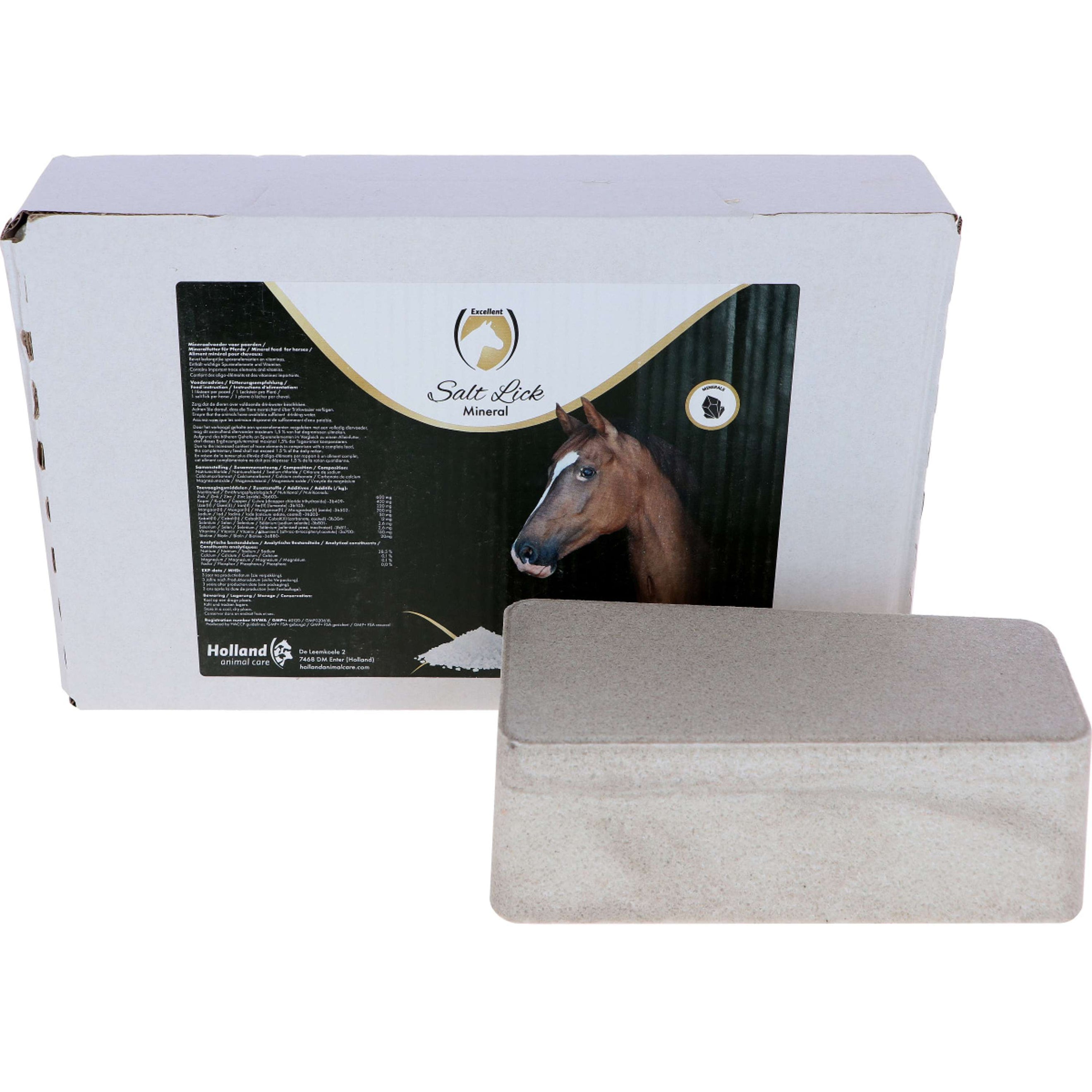 Excellent Salt Lick Horse Leckstein