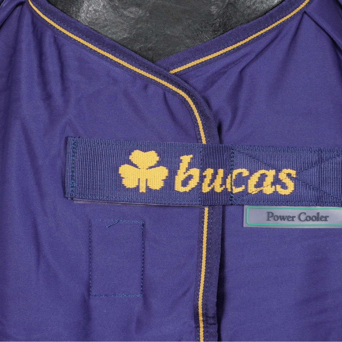 Bucas Prize Cooler Navy/Gold Bucas logo