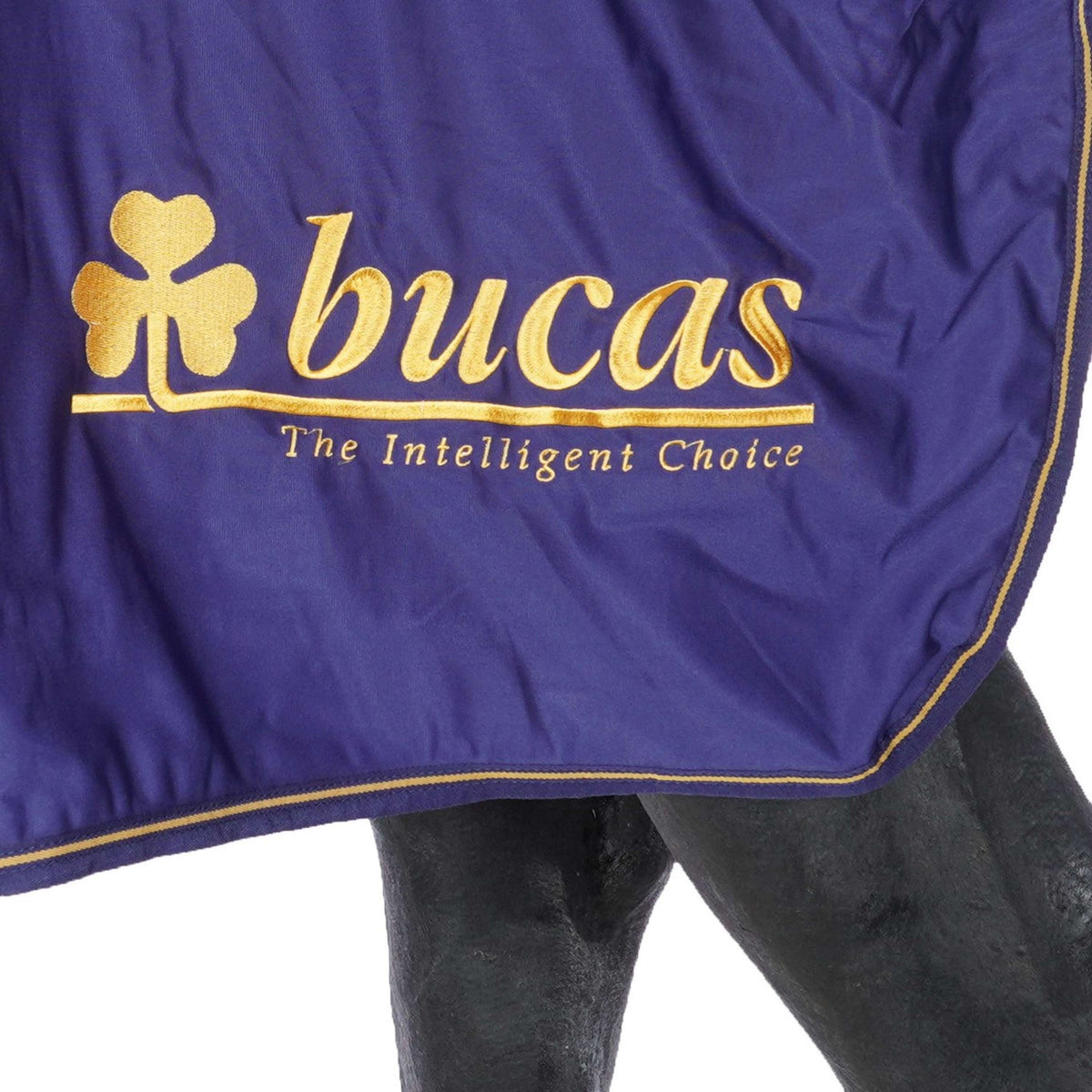 Bucas Prize Cooler Navy/Gold Bucas logo