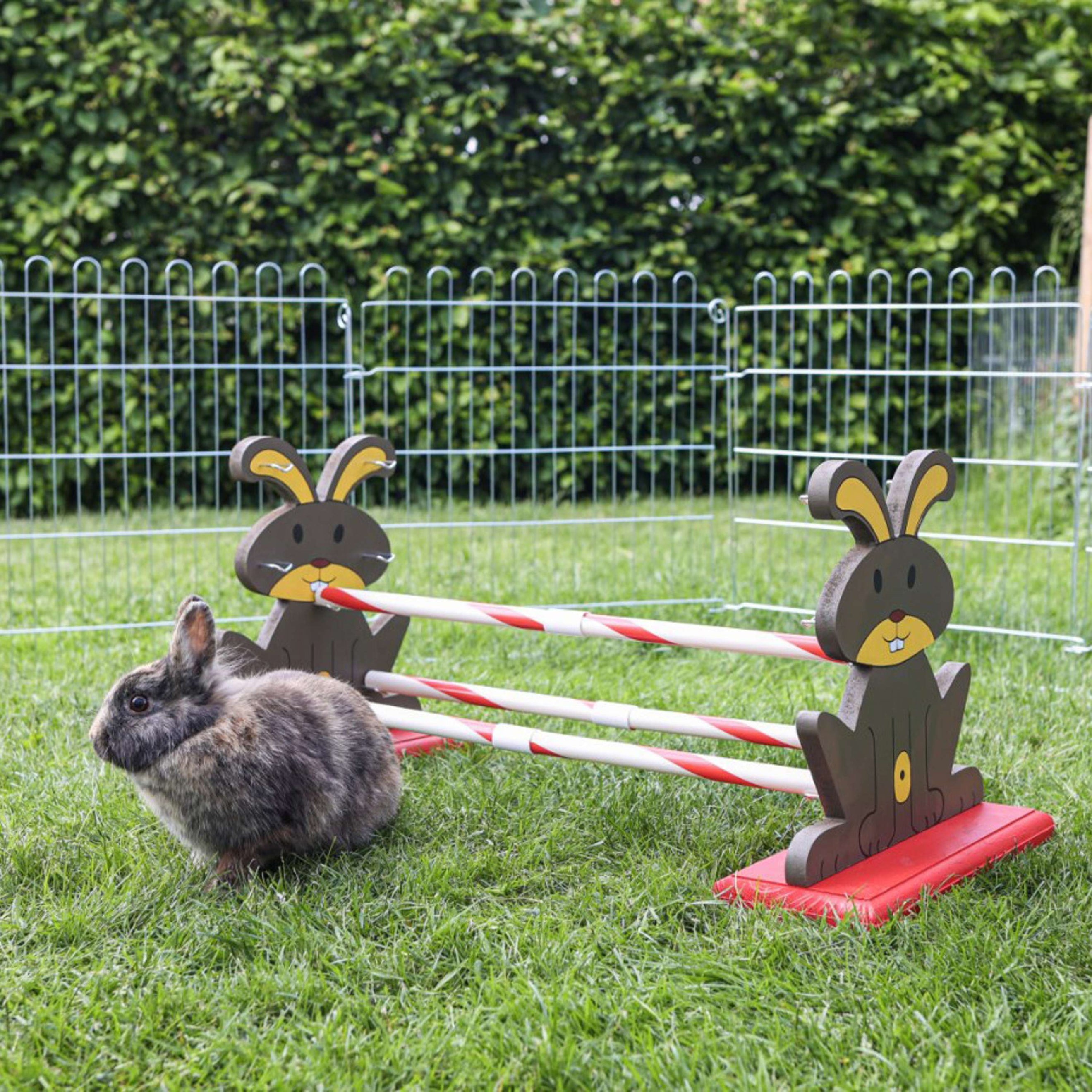 Kerbl Agility Nagerhürde Kerbl Agility Nagerhürde
