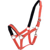 Harry's Horse Halfter Padded Orange