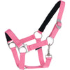 Harry's Horse Halfter Padded Rosa