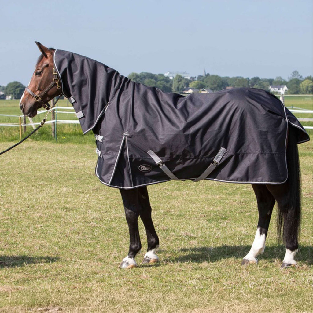 Harry's Horse Regendecke Thor 0g Combo Strechlimousine