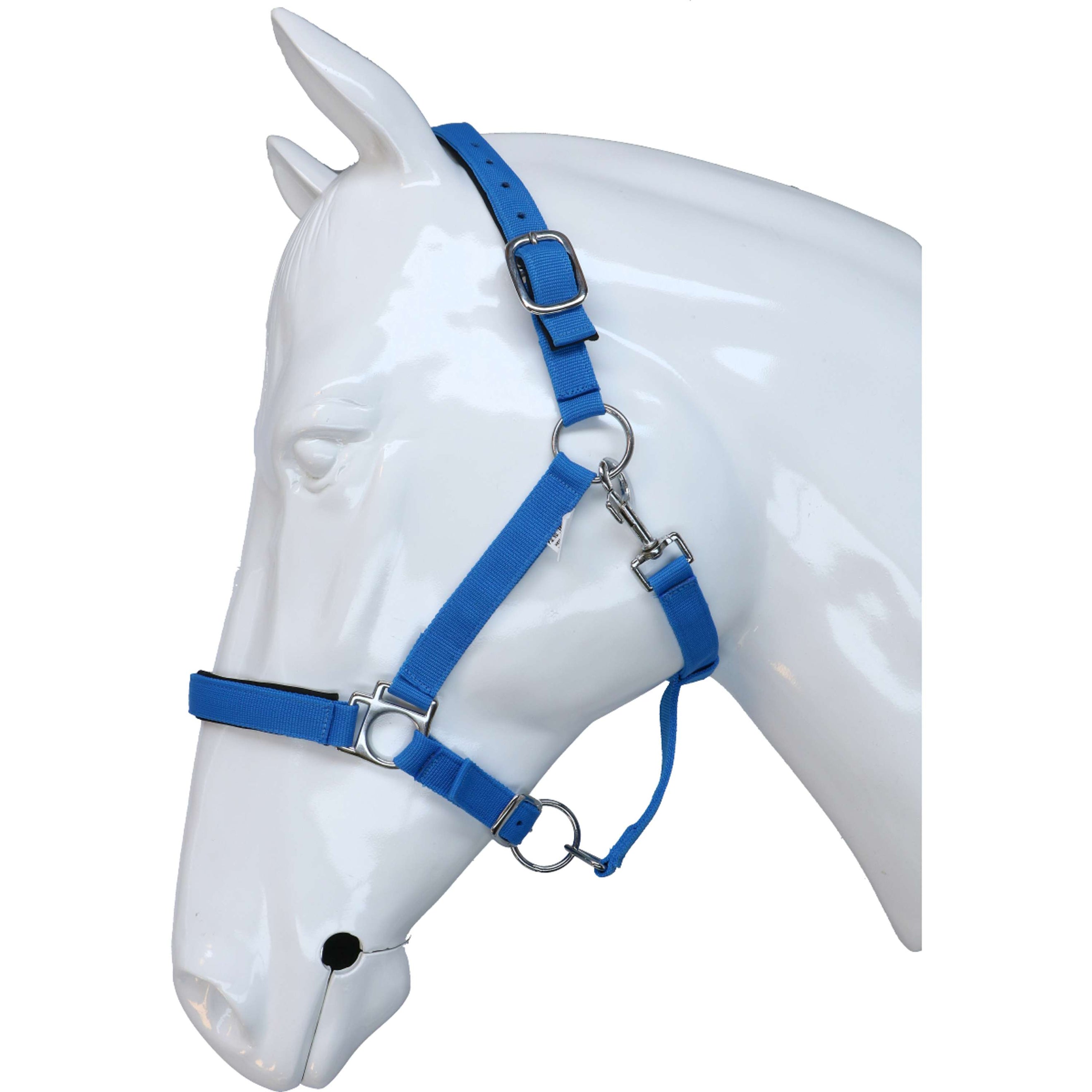 HKM Halfter Stars Softice Kobalt Blau HKM Halfter Stars Softice Kobalt Blau