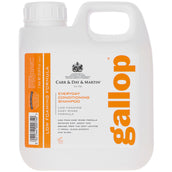 Carr & Day & Martin Shampoo Gallop Conditioning