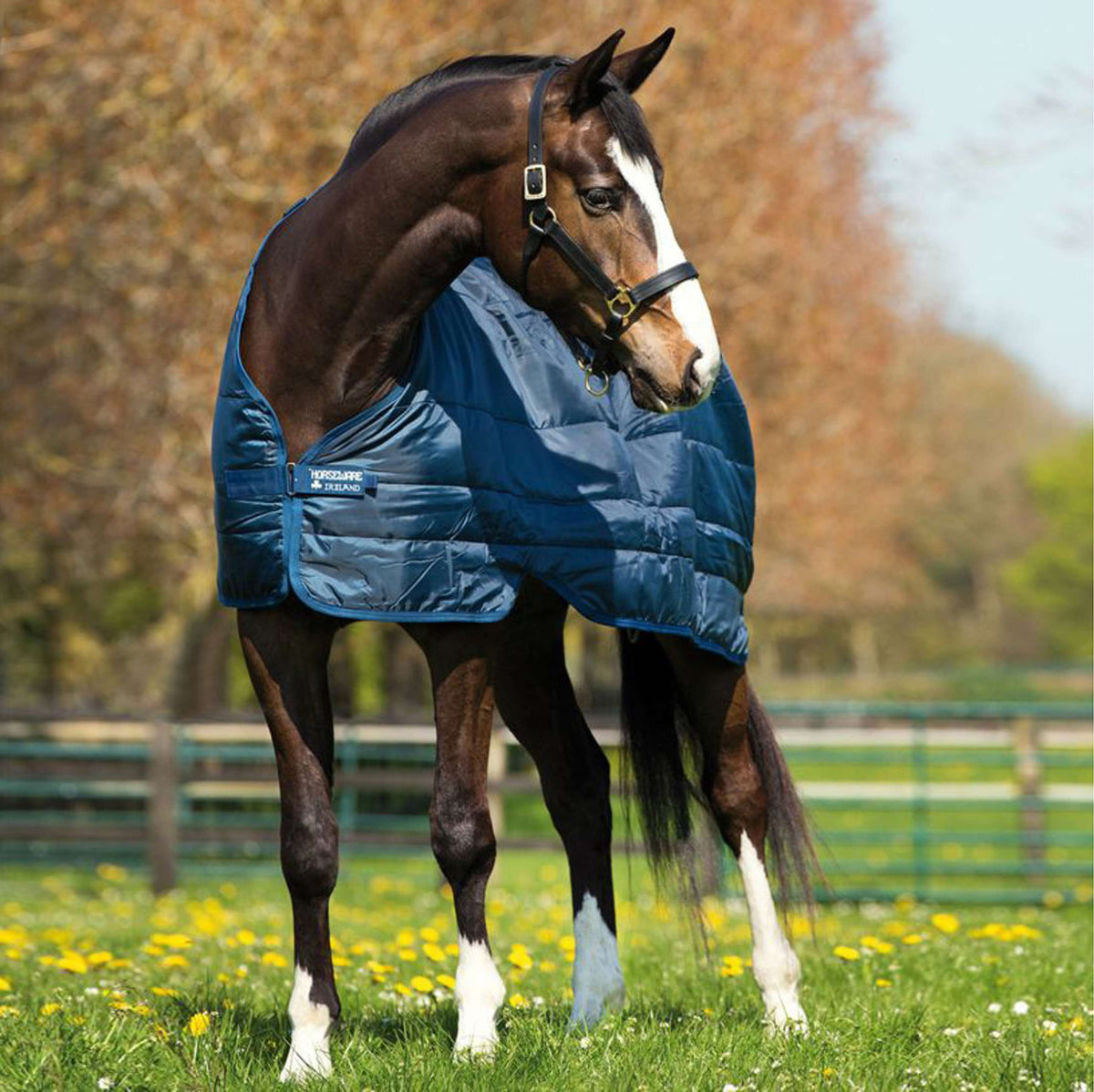 Horseware Liner 400g Navy