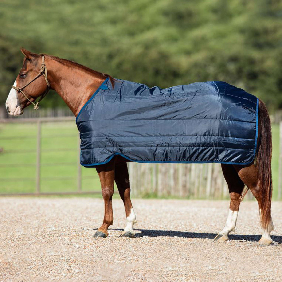 Horseware Liner 400g Navy