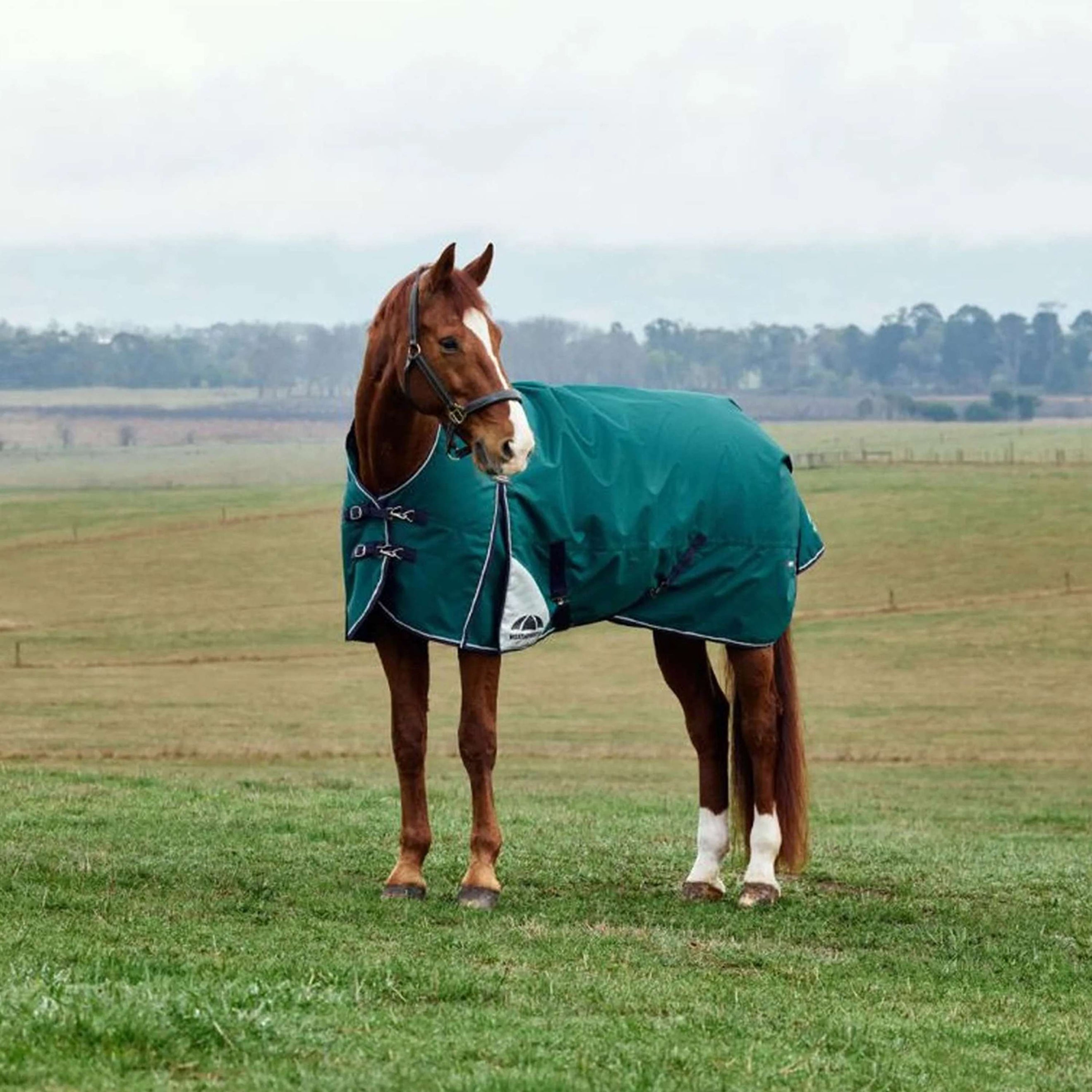 WeatherBeeta ComFiTec Plus Dynamic Turnout 100g Forest Green/Navy WeatherBeeta ComFiTec Plus Dynamic Turnout 100g Forest Green/Navy