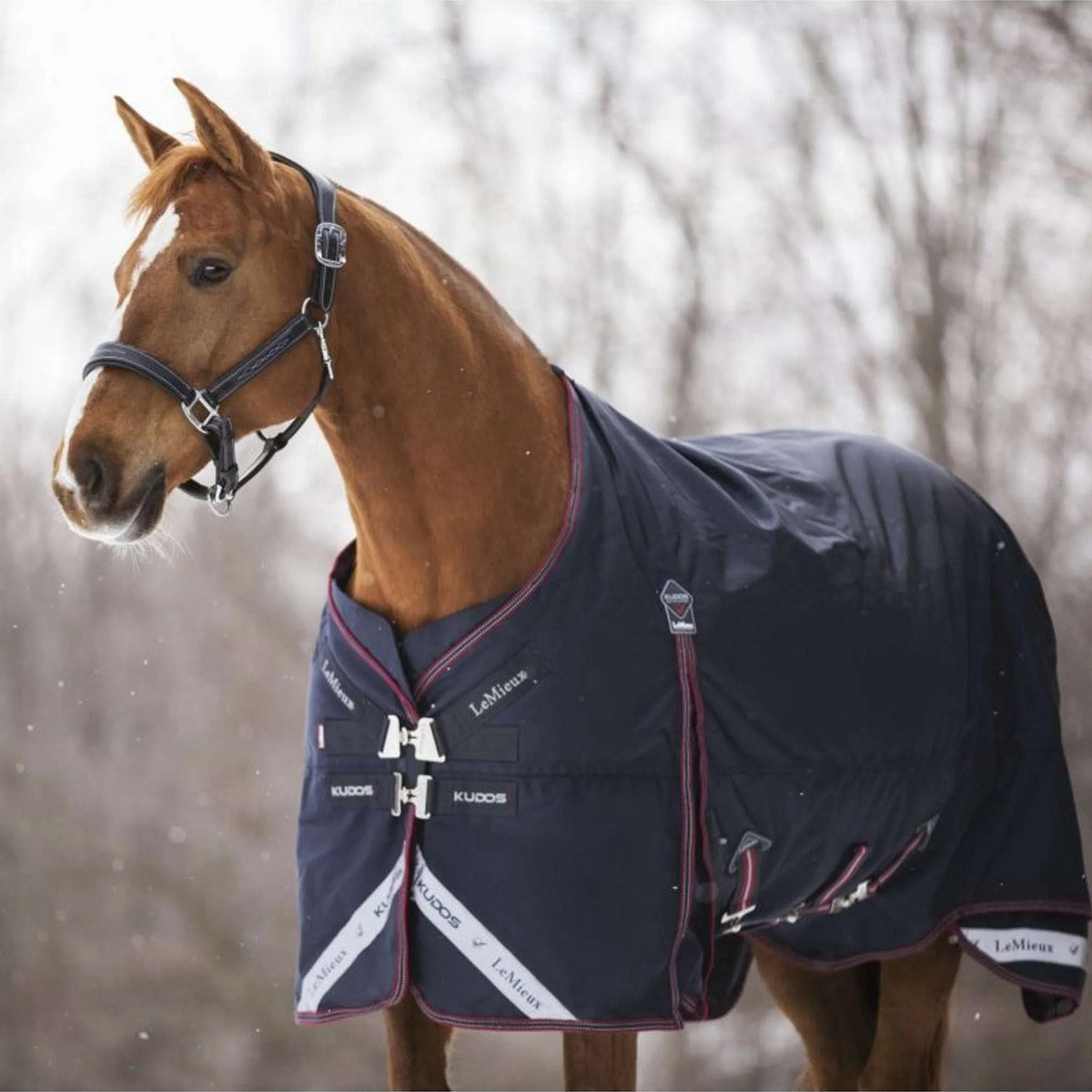 LeMieux Decke Kudos Turnout 100g Navy