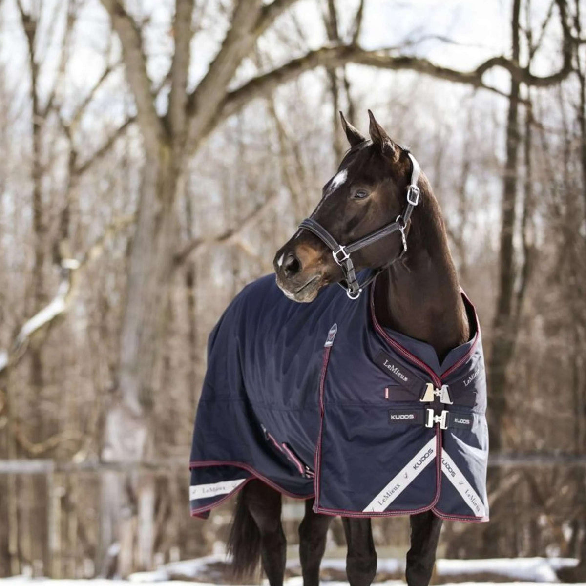 LeMieux Decke Kudos Turnout 100g Navy