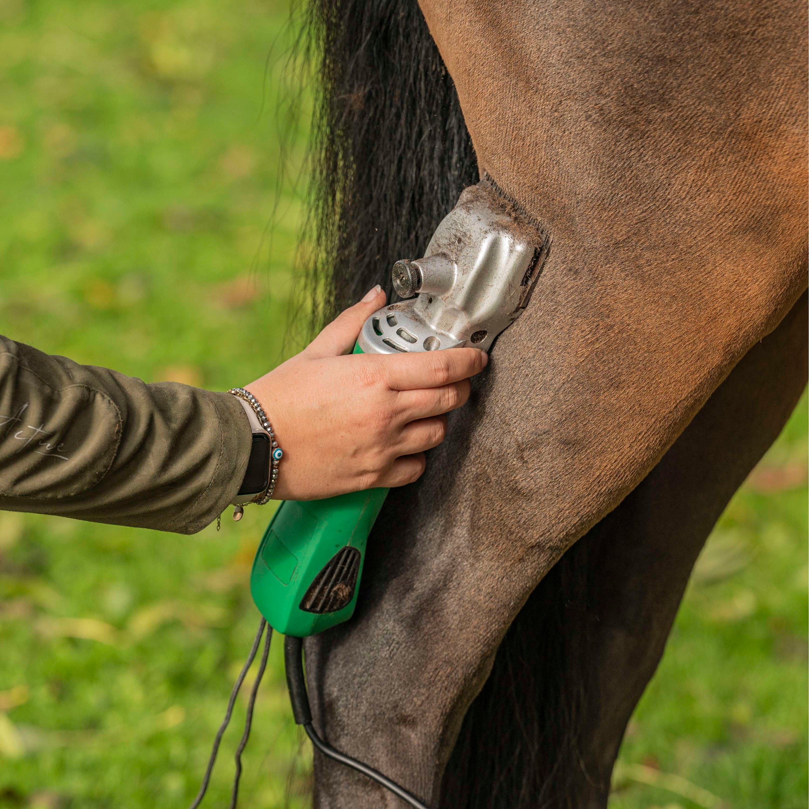 Agradi Horse Schermaschine HC-2000 Pferd/Rind Grün