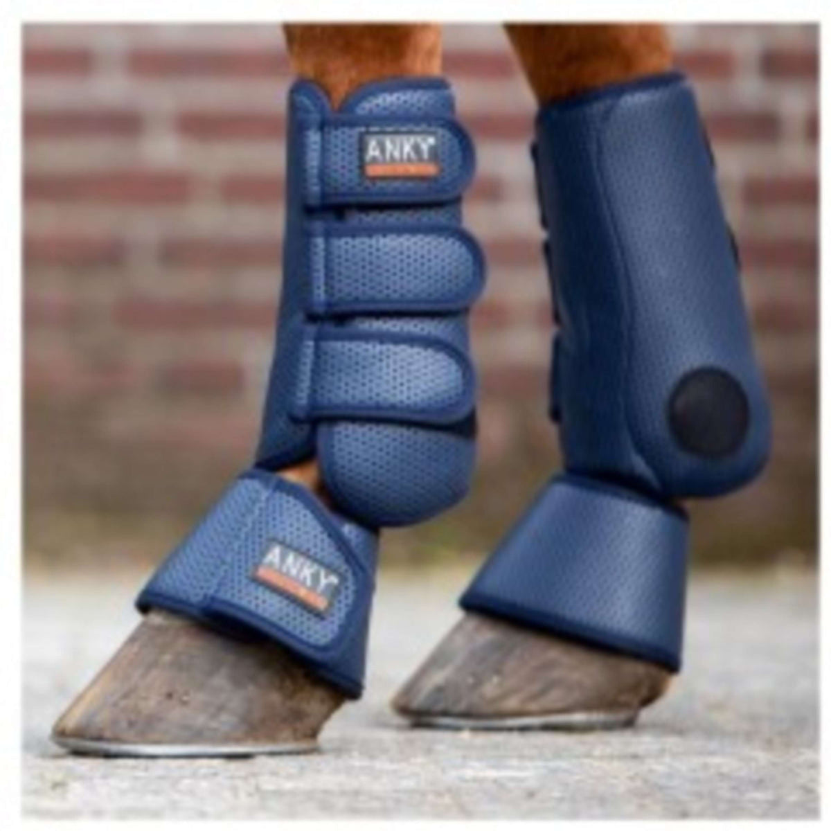 ANKY Hufglocken Technisch Navy