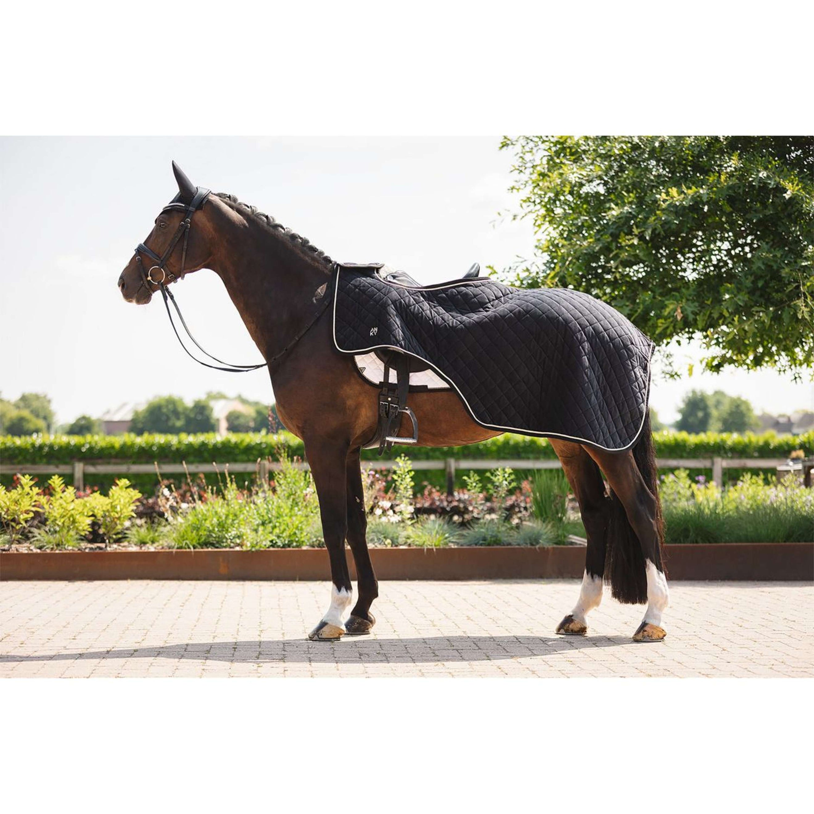 ANKY Ausreitdecke ATB25011 Schwarz
