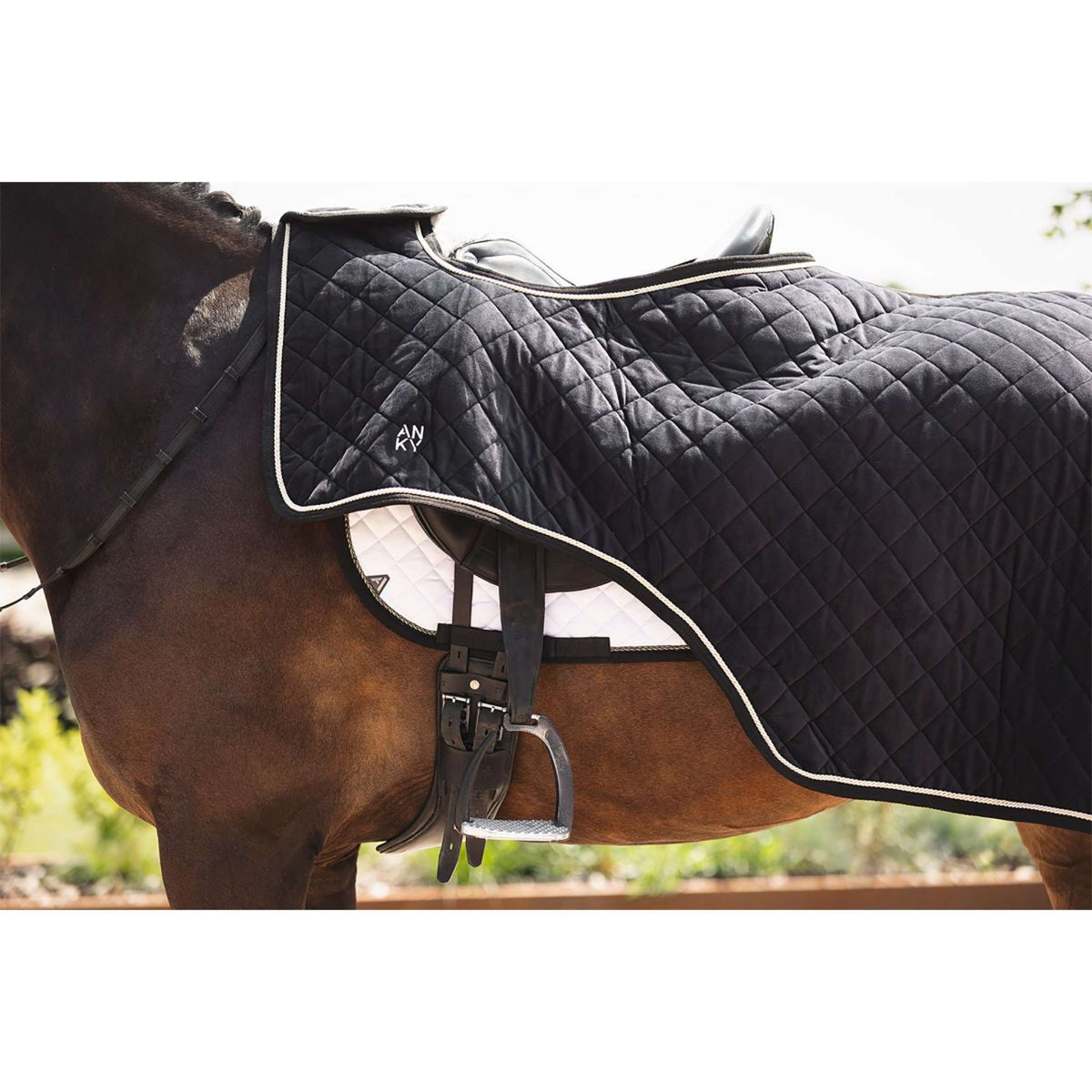 ANKY Ausreitdecke ATB25011 Schwarz