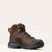 Ariat Outdoorschuhe Skyline Mid Waterproof Damen Schokoladen Braun