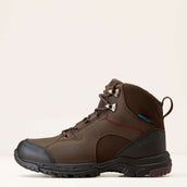 Ariat Outdoorschuhe Skyline Mid Waterproof Damen Schokoladen Braun