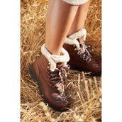 Ariat Outdoorschuhe Harper Sherpa H2O Dunkelbraun