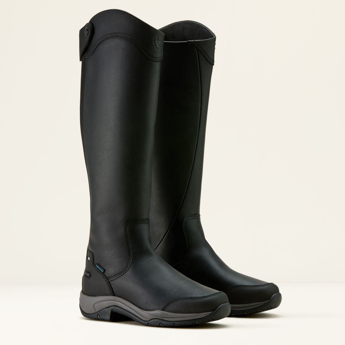 Ariat Reitstiefel Telluride Tall H2O Schwarz