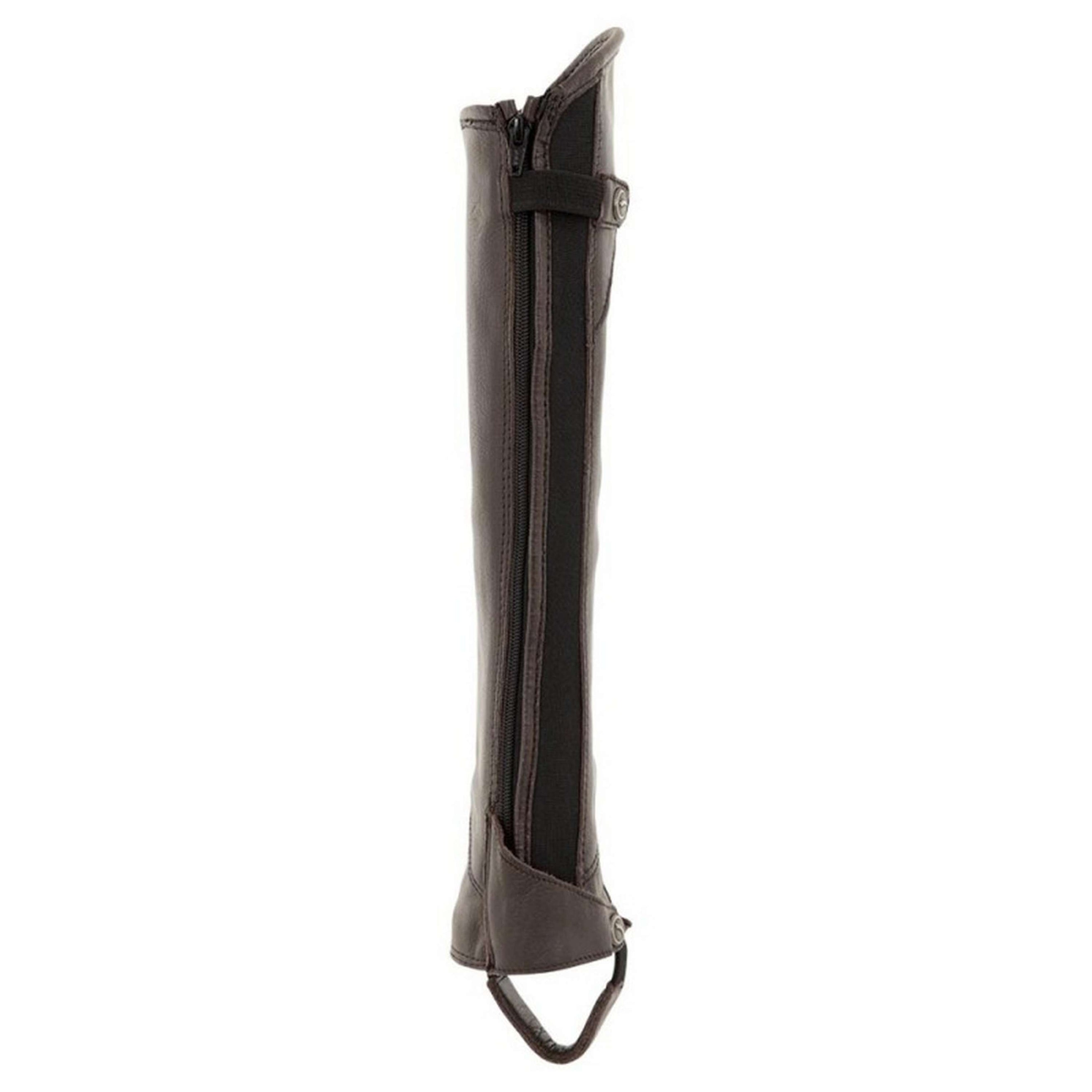 Premiere Chaps Veneto Adult Braun Premiere Chaps Veneto Adult Braun