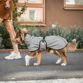 Back on Track Hundejacke Nella All-Round Grau