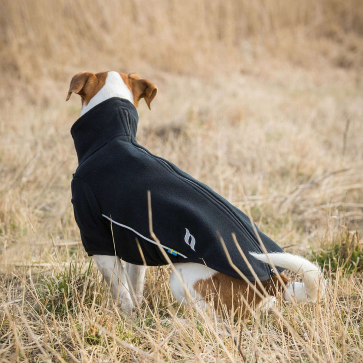 Back on Track Hundejacke Cassie All-Weather Schwarz