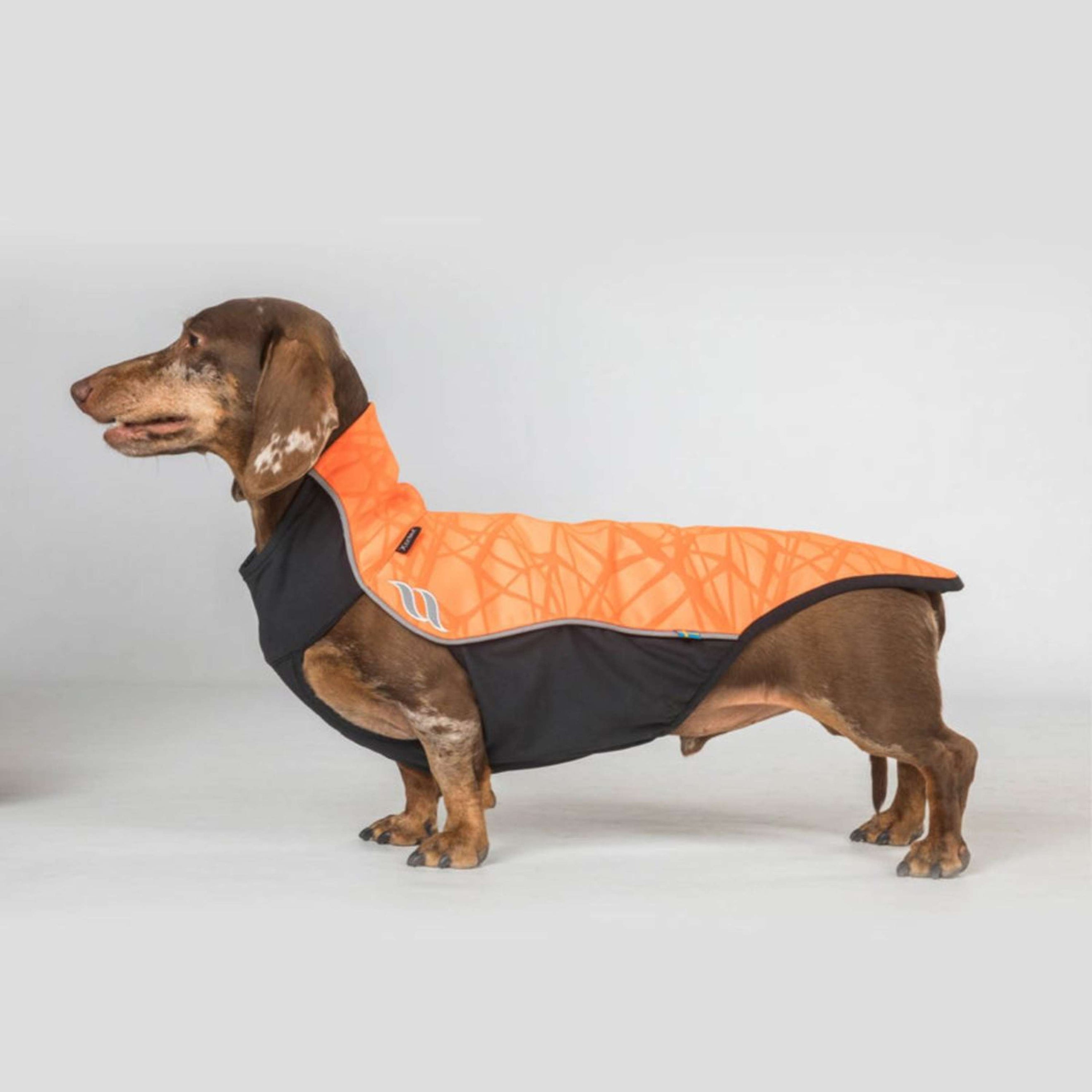 Back on Track Hundejacke Eddie High Visibility Petite Orange Back on Track Hundejacke Eddie High Visibility Petite Orange