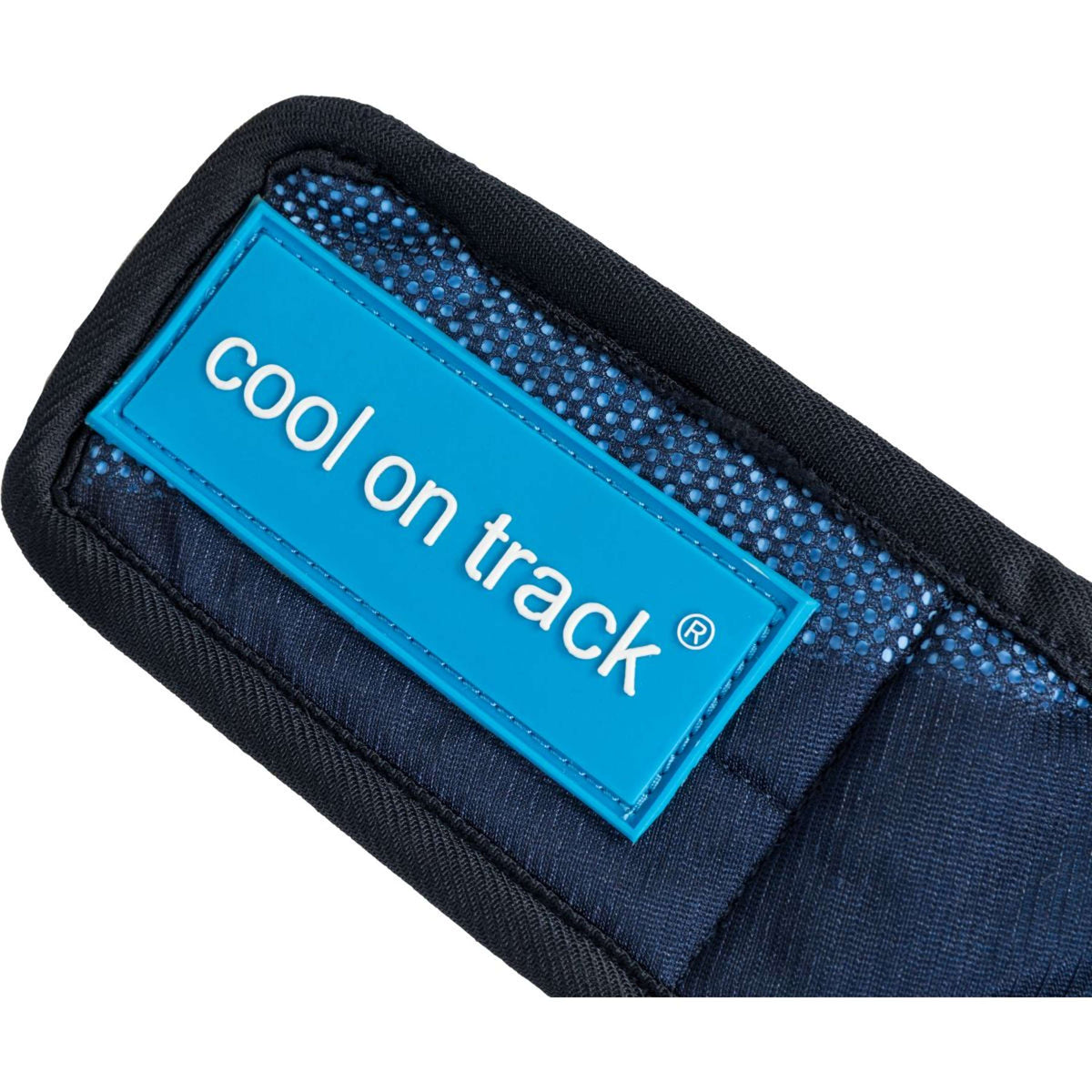 Back on Track Cooling Bandana Blau