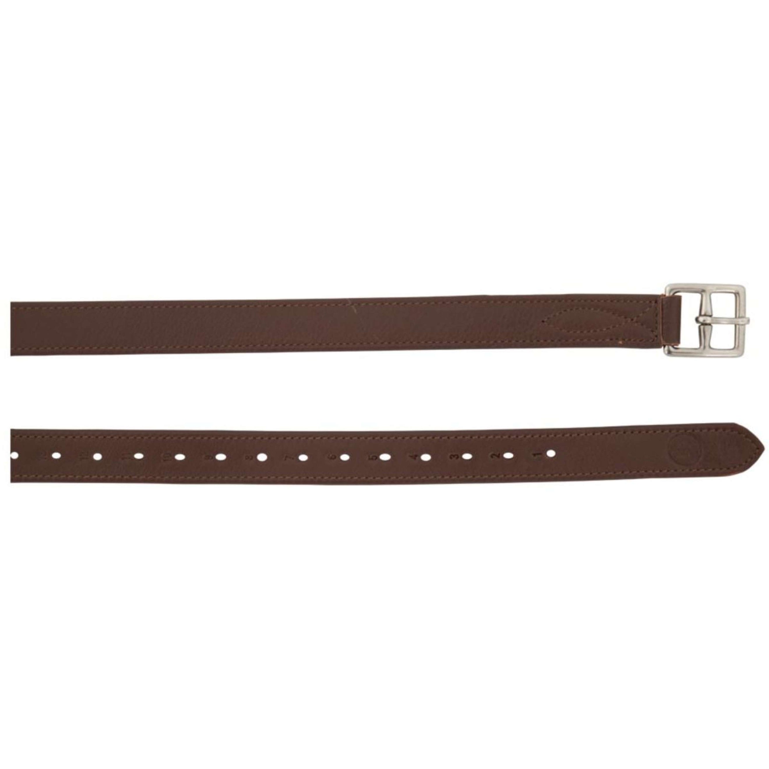 BR Steigbügelriemen Nylon und Soft Edelstahl Schnallen Oak/Silber BR Steigbügelriemen Nylon und Soft Edelstahl Schnallen Oak/Silber