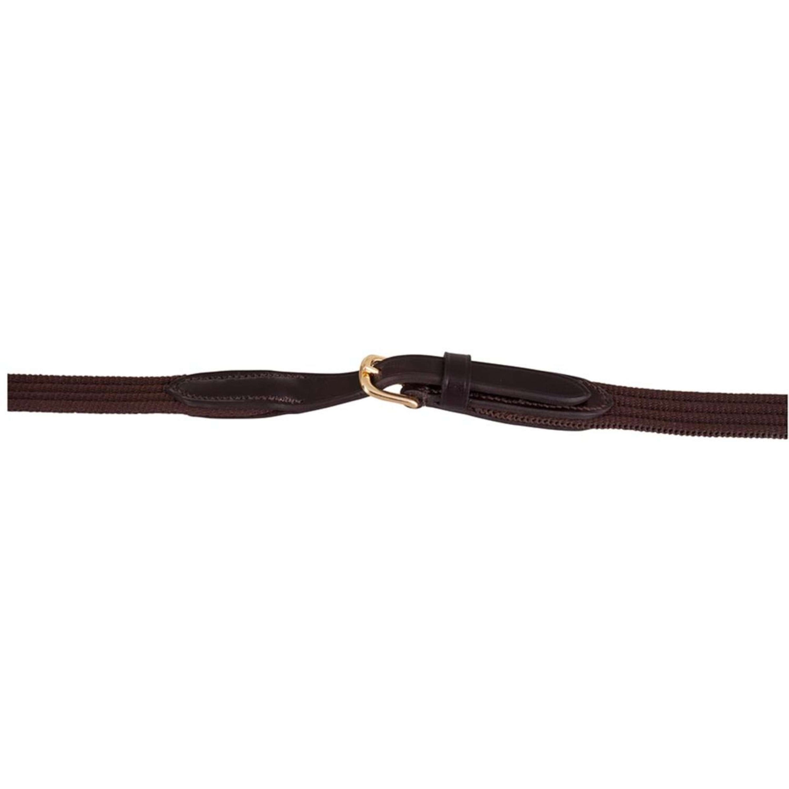 BR Gurtzügel mit Zaumhaken braun/gold BR Gurtzügel mit Zaumhaken braun/gold