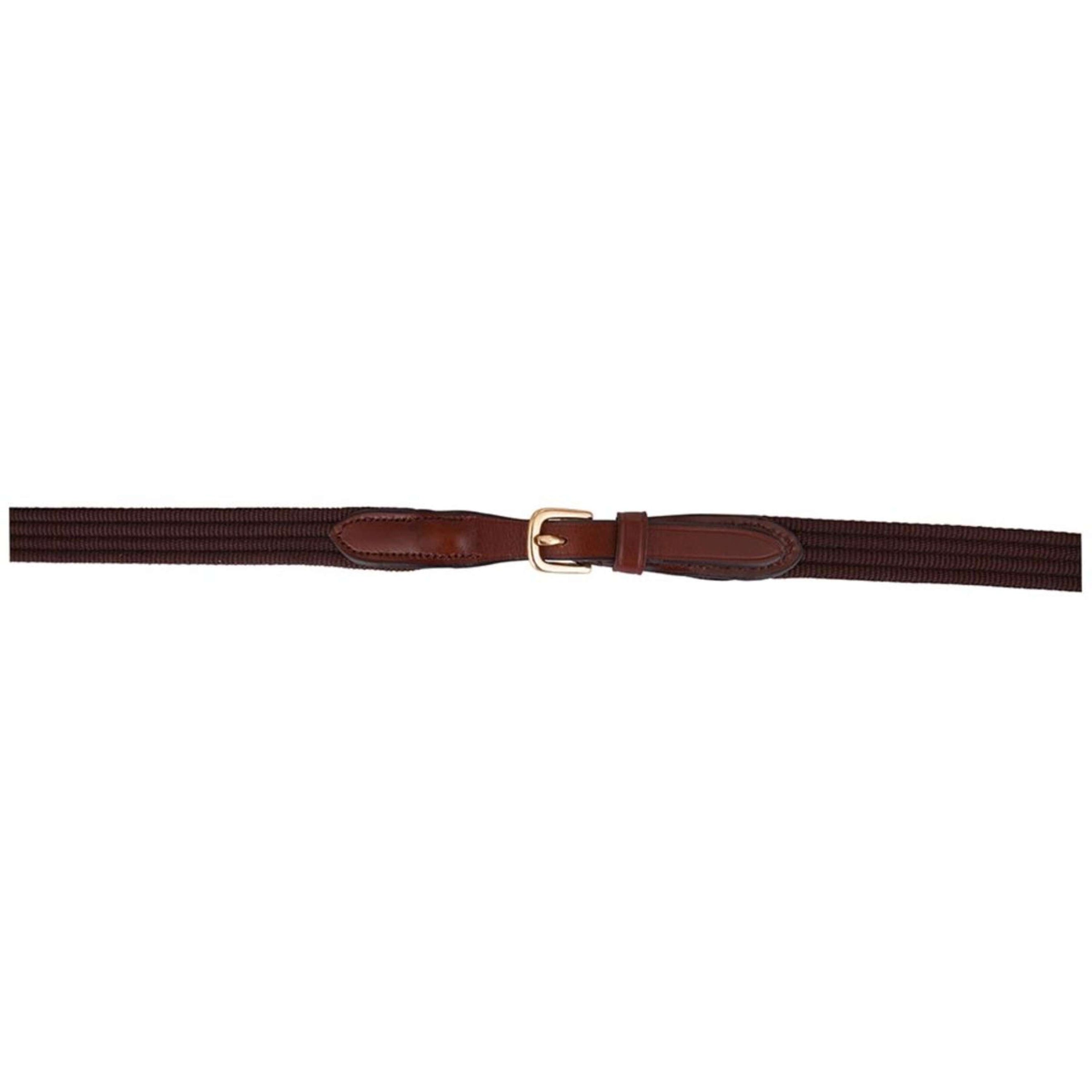 BR Gurtzügel mit Zaumhaken Tobacco/gold BR Gurtzügel mit Zaumhaken Tobacco/gold