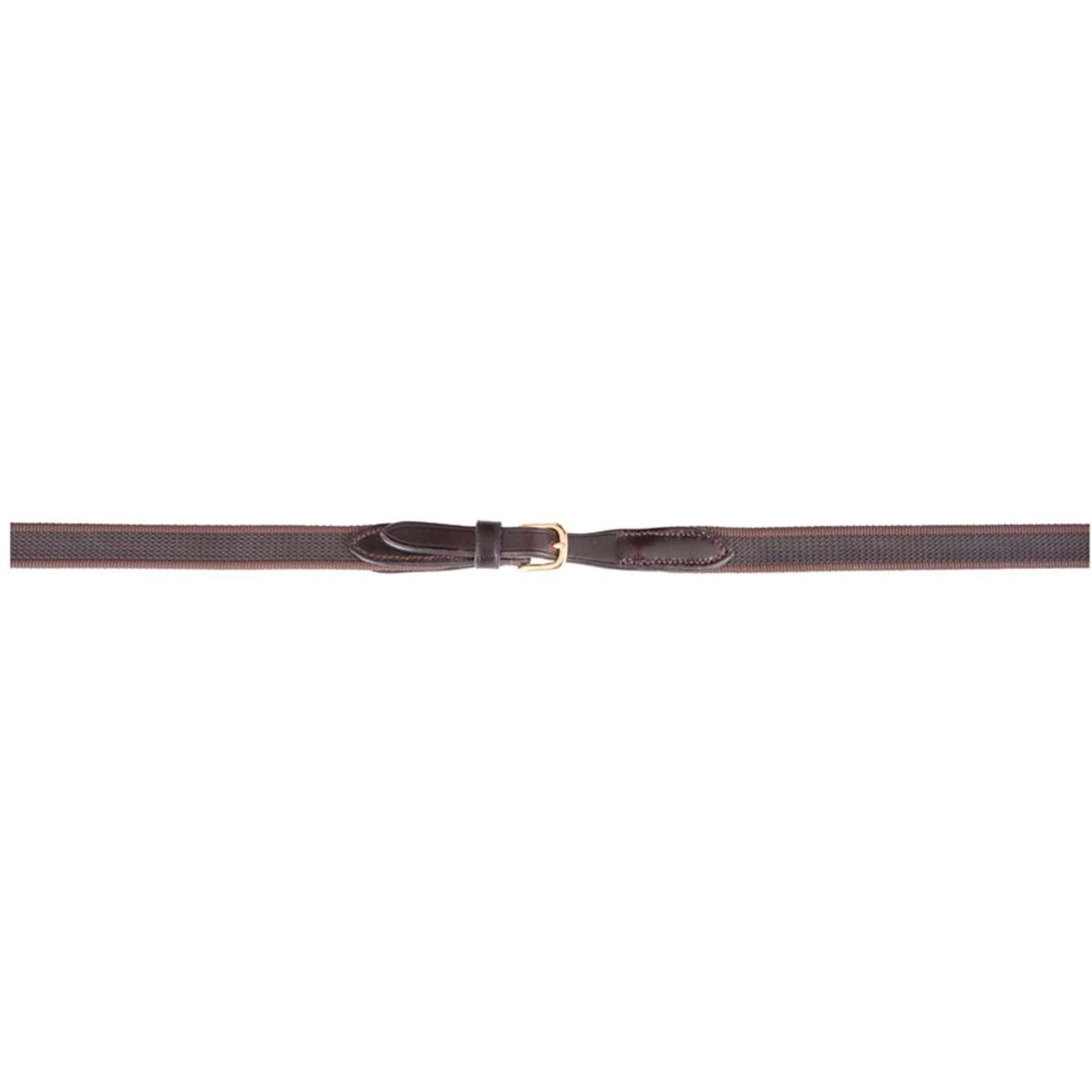 BR Zügel Leinen 19mm Anti-Slip E Verschluss braun/gold BR Zügel Leinen 19mm Anti-Slip E Verschluss braun/gold