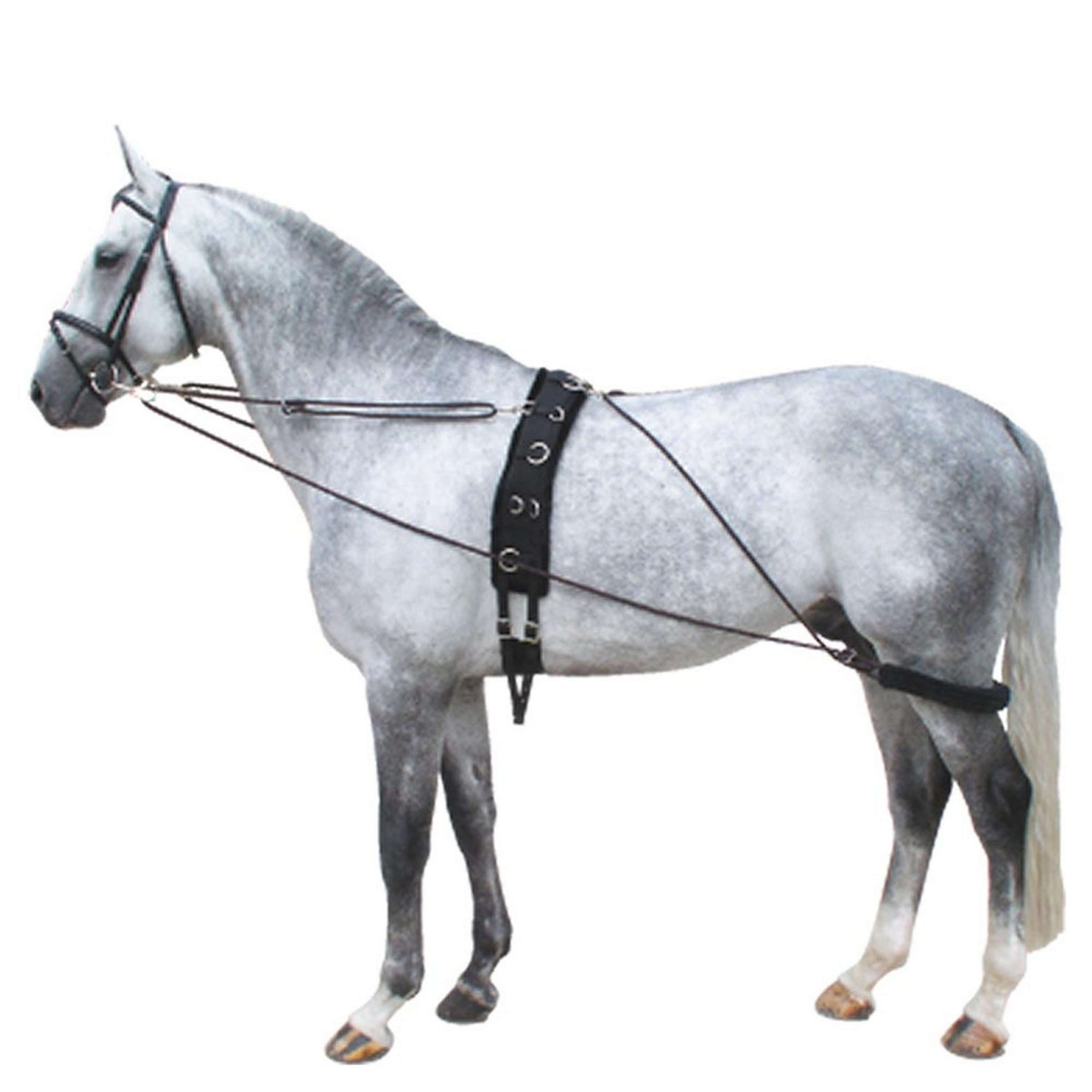 Premiere Longierhilfszügel Schwarz/Bordeaux Premiere Longierhilfszügel Schwarz/Bordeaux