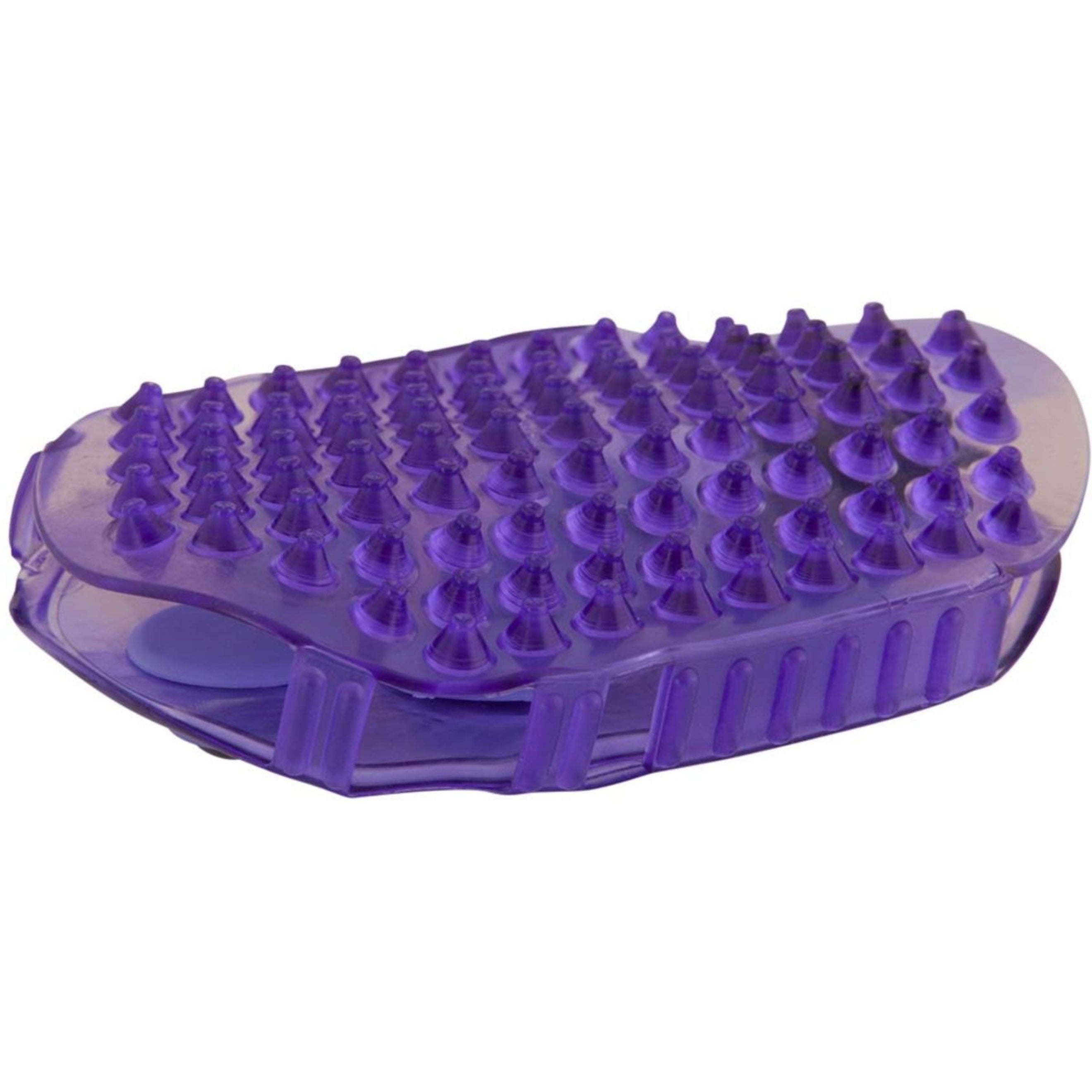 Premiere Massagebürste Edelstahl Roller Violett
