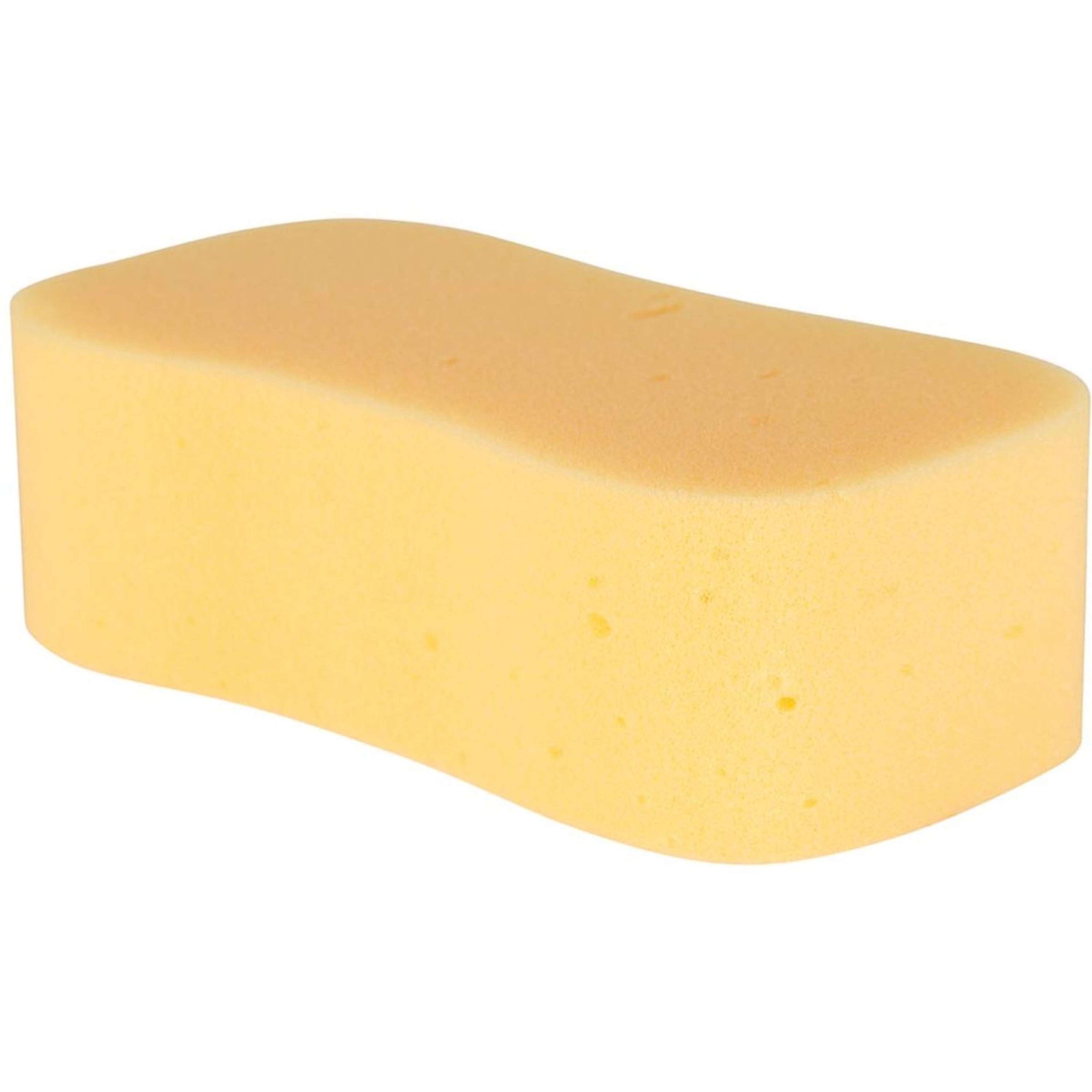 Carr & Day & Martin Schwamm Horse Care Sponge Orange