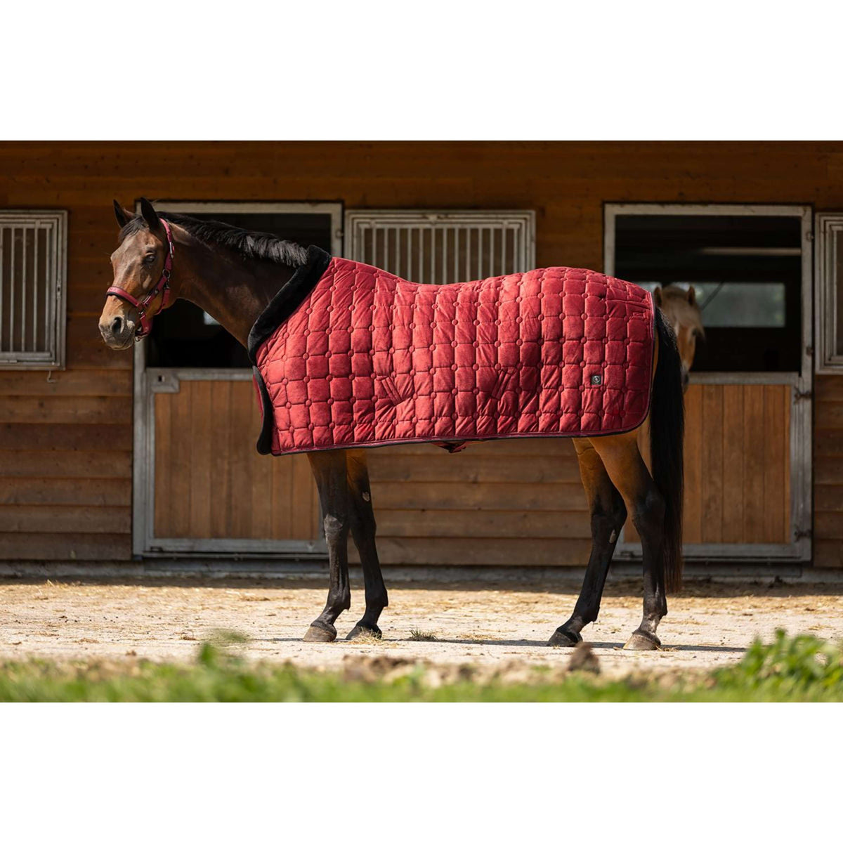 BR Showdecke CLX Cabernet