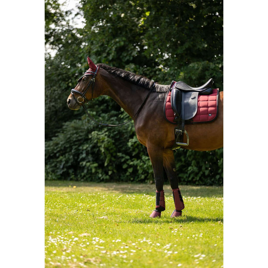 BR Schabracke CLX Dressur Cabernet
