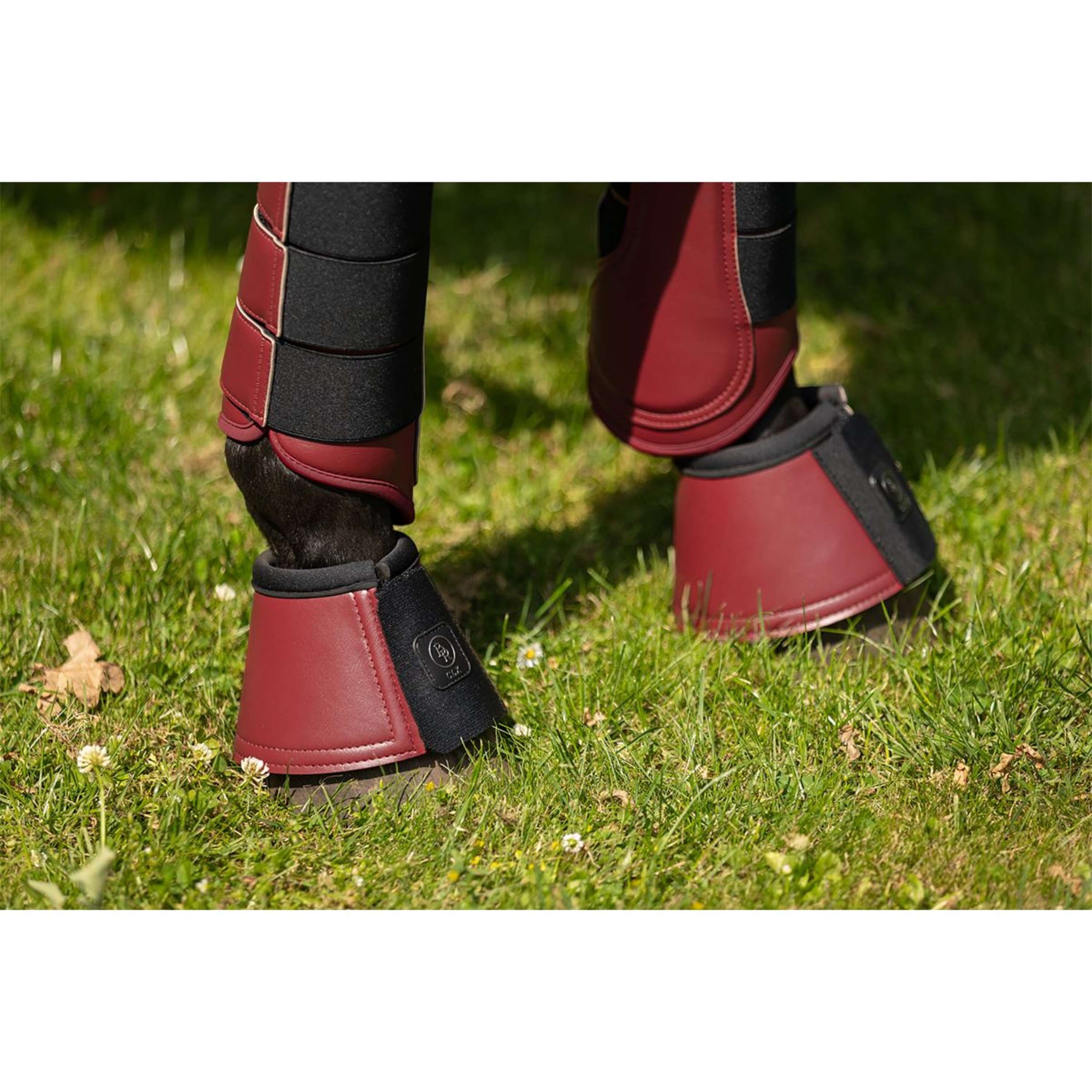 BR Hufglocken CLX Cabernet