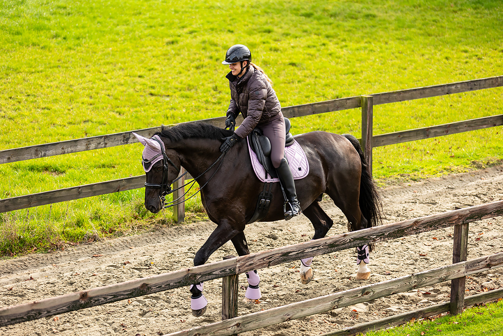 BR Winter 25/26 Raisin