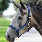 Bucas Halfter Dublin Foal Navy