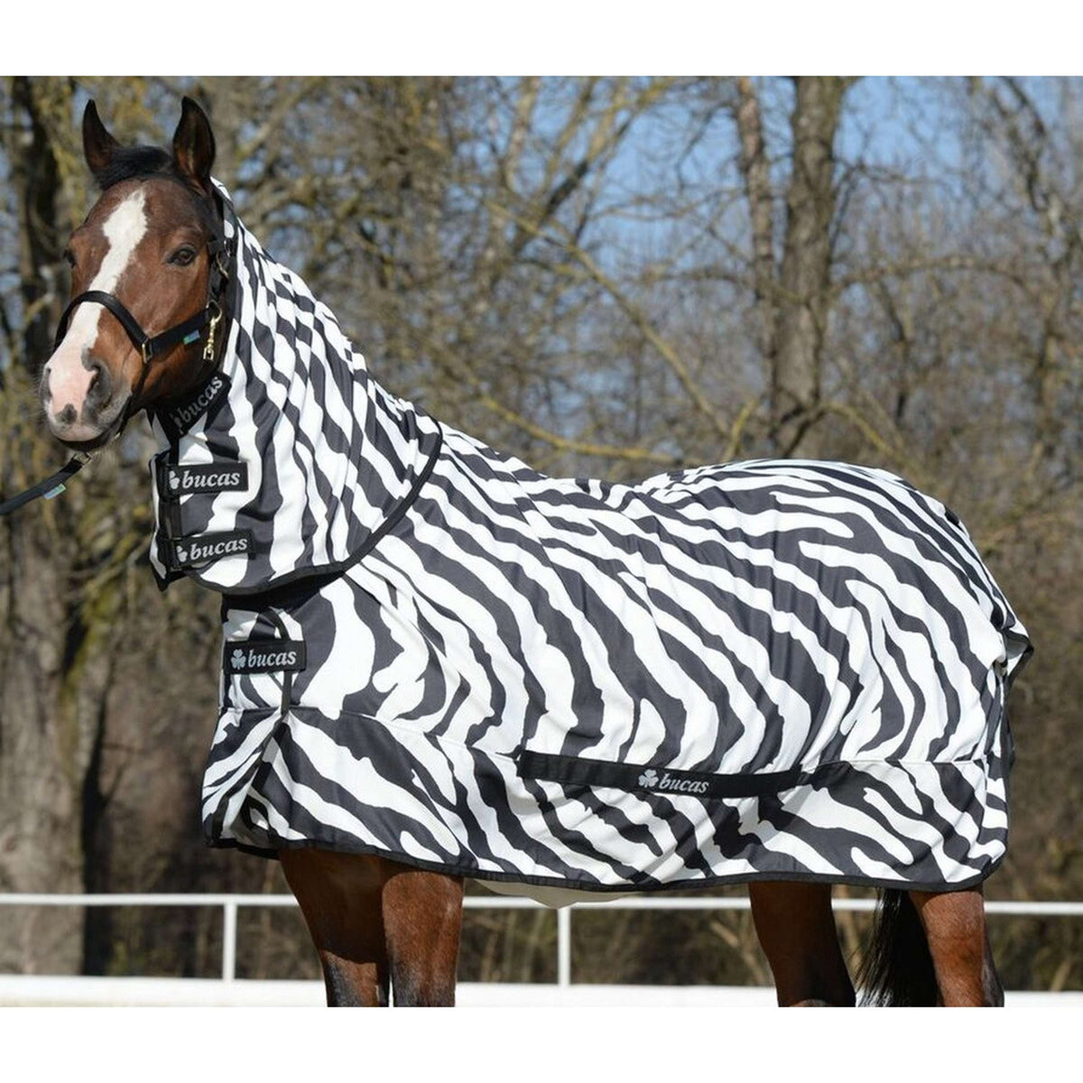 Bucas Ekzemdecke Sweet Itch Zebra