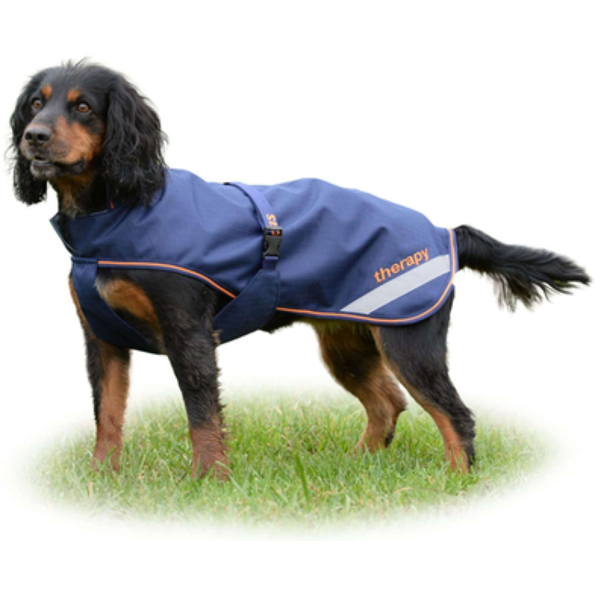 Bucas Therpay Dog Rug 150g Navy Orange