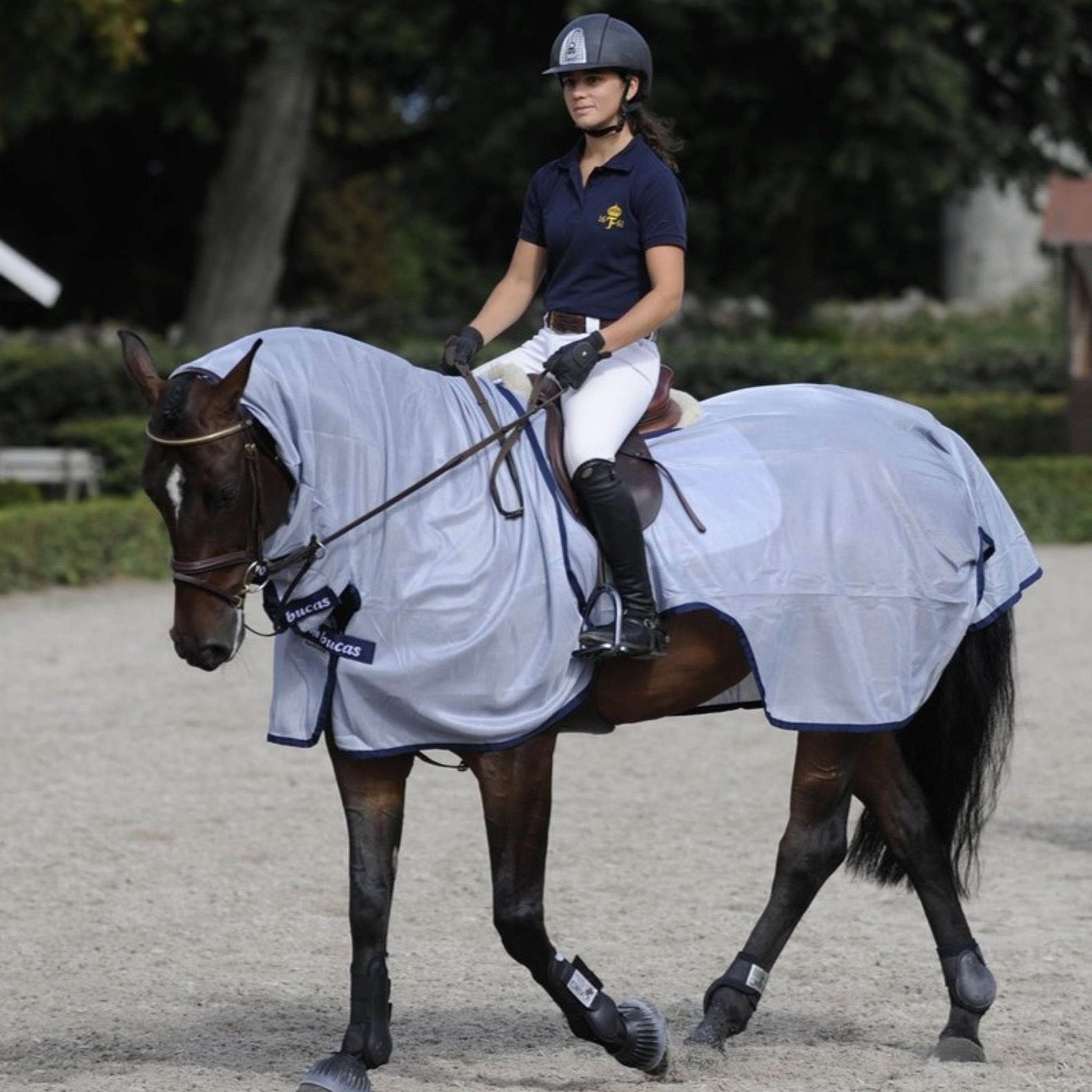 Bucas Fliegendecke Buzz-Off Riding Blau Bucas Fliegendecke Buzz-Off Riding Blau